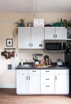 What is an Efficiency Kitchen? And Can It Inspire a Culinary Revolution in Small Spaces?