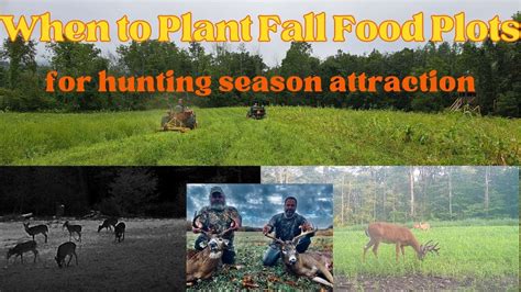 when to plant fall food plots: the art of timing